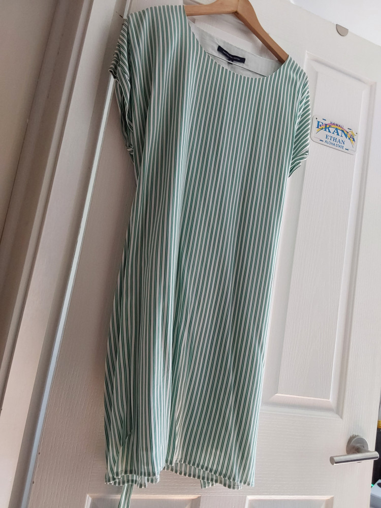 Green striped shift dress