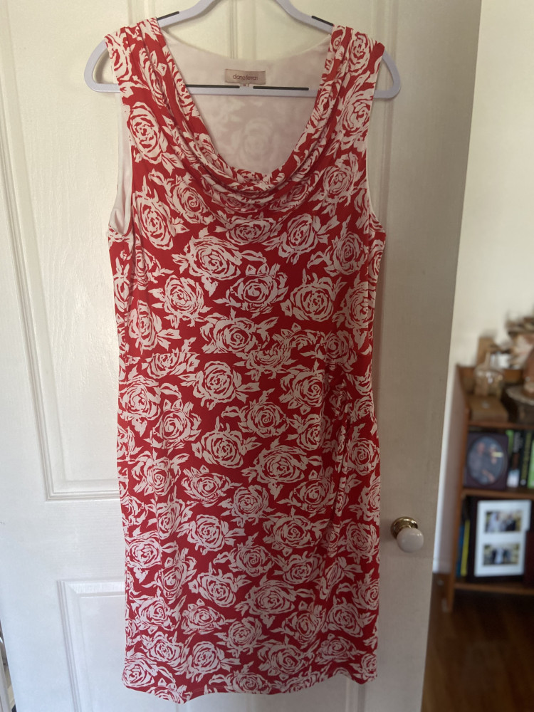 Ladies dress 18